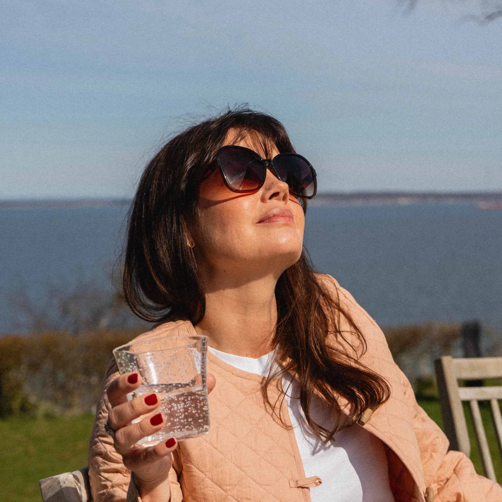 Brown Butterfly Framed Sunglasses - Image 3